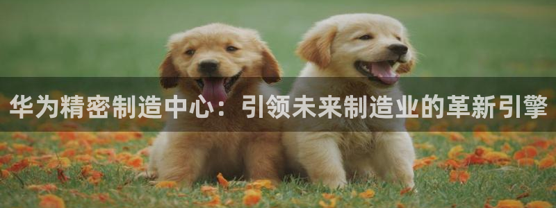 彩神盈利图片