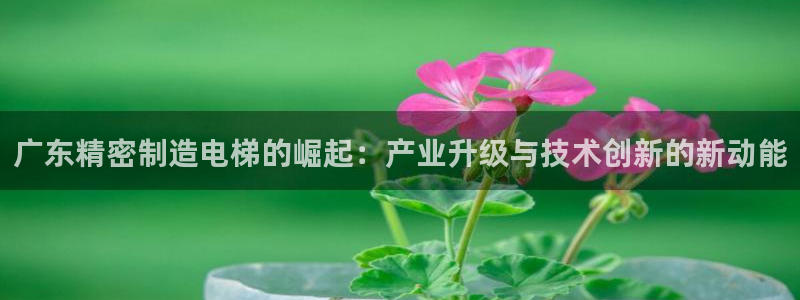 彩神这个平台是真的吗：广东精密制造电梯的崛起：产业升级与技术创新的新动能