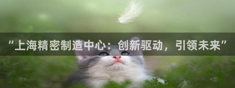 彩神v8app：“上