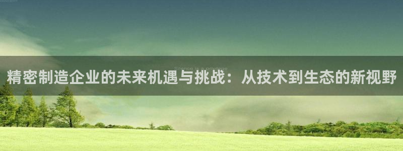 彩神v|：精密制造企业的未来机遇与挑战：从技术到生态的新视野