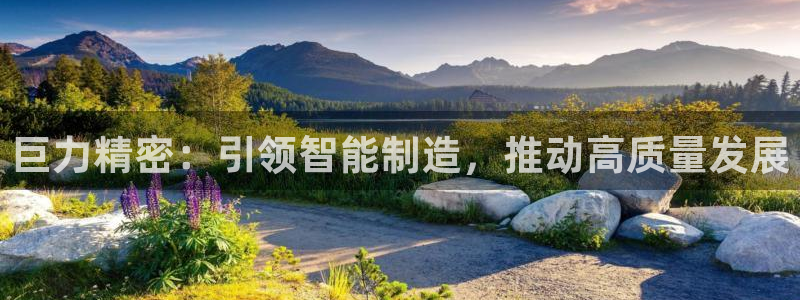 彩神8官网合法吗：巨力精密：引领智能制造，推动高质量发展