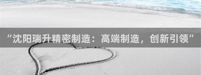新版彩神v8登录不上去：“沈阳瑞升精密制造：高端制造，创新引领”