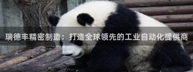 彩神网能赚钱是怎么回事：瑞德丰精密制造：打造全球领先的工业自动化提供商