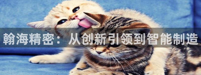 彩神vi官网版：翰海精密：从创新引领到智能制造