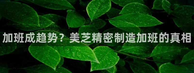 彩神这个平台是真的吗：加班成趋势？美芝精密制造加班的真相