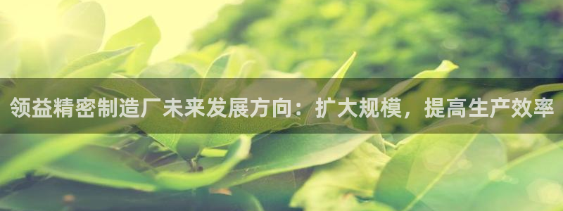 彩神v争霸是啥：领益精密制造厂未来发展方向：扩大规模，提高生产效率