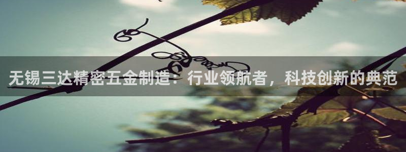 v大发彩神8iii：无锡三达精密五金制造：行业领航者，科技创新的典范