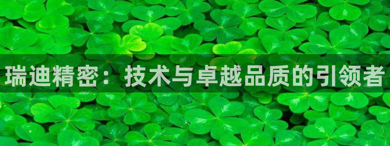 下载彩神乐发V1：瑞迪精密：技术与卓越品质的引领者