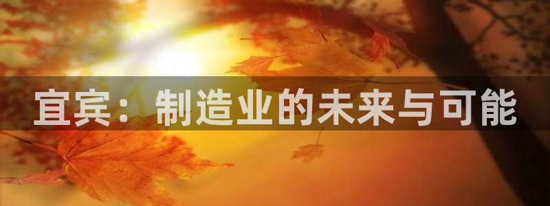 彩神ix是真的吗：宜宾：制造业的未来与可能