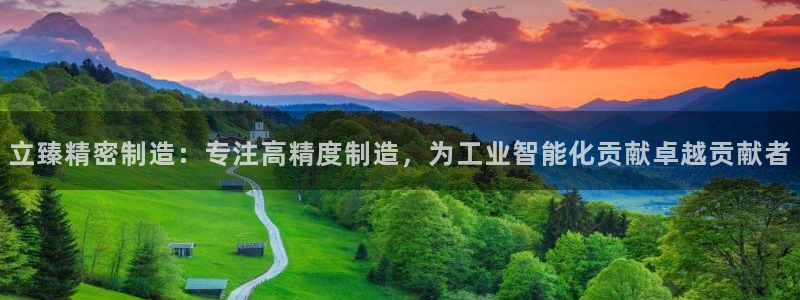彩神怎么才能赢：立臻精密制造：专注高精度制造，为工业智能化贡献卓越贡献者