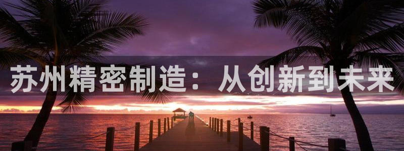 彩神平台可以破解吗：苏州精密制造：从创新到未来