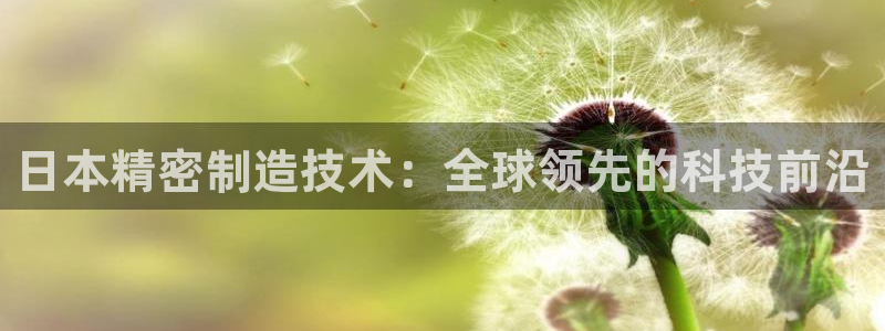 彩神购彩-购彩大厅入口计划群：日本精密制造技术：全球领先的科技前沿