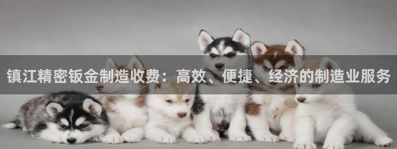 彩神8购彩-购彩大厅：镇江精密钣金制造收费：高效、便捷、经济的制造业服务