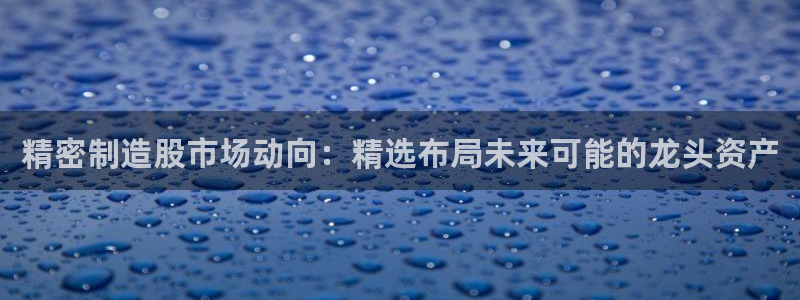 彩神购彩-购彩大厅入口下载：精密制造股市场动向：精选布局未来可能的龙头资产