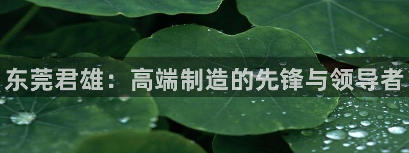 彩神是真的吗