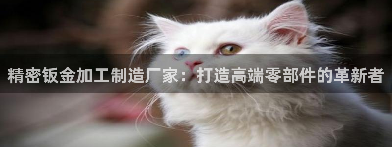 彩神v8有多久了?靠谱吗