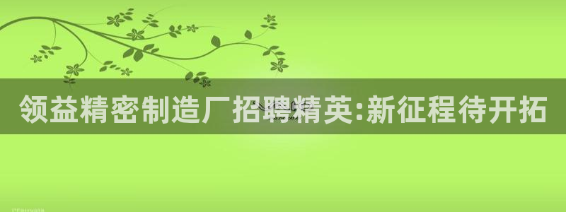 彩神V集团有限公司：领益精密制造厂招聘精英:新征程待开拓