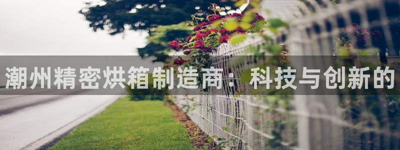 彩神v平台
