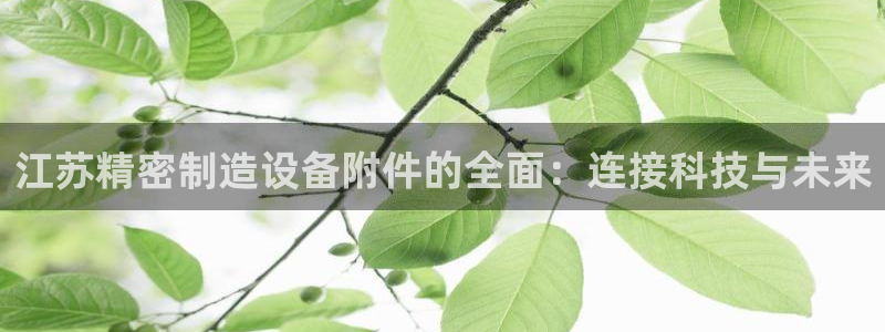 彩神赢的钱是哪里来的啊：江苏精密制造设备附件的全面：连接科技与未来