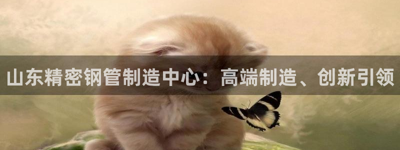 彩神v8平台正规吗可靠吗：山东精密钢管制造中心：高端制造、创新引领