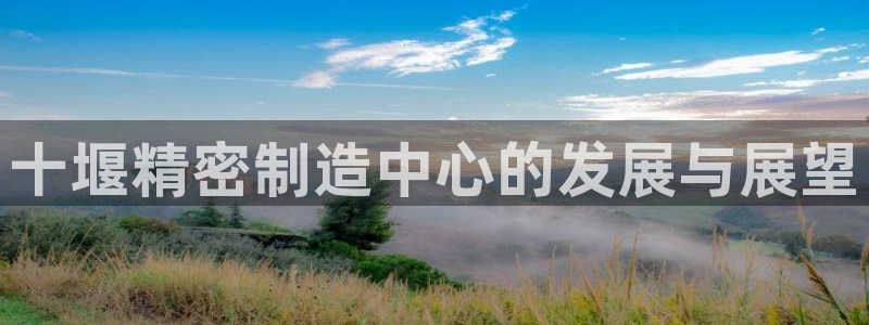 彩神ix是真的吗：十堰精密制造中心的发展与展望