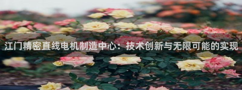 彩神v1官网：江门精密直线电机制造中心：技术创新与无限可能的实现