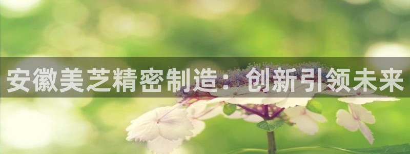 彩神Vll：安徽美芝