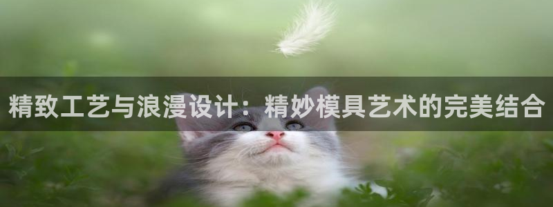 v彩神88iii：精致工艺与浪漫设计：精妙模具艺术的完美结合