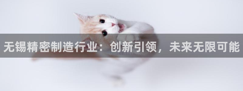彩神ios下载：无锡精密制造行业：创新引领，未来无限可能