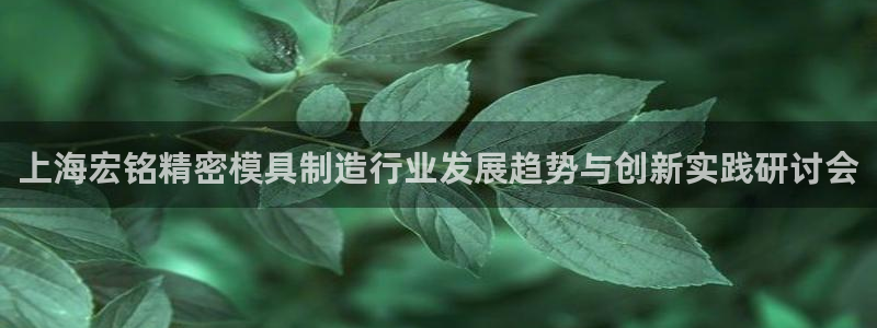 彩神正规吗：上海宏铭精密模具制造行业发展趋势与创新实践研讨会