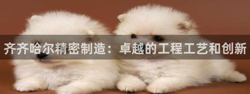 彩神VI首页：齐齐哈尔精密制造：卓越的工程工艺和创新