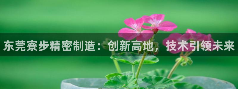 彩神ⅴll用户登录：东莞寮步精密制造：创新高地，技术引领未来