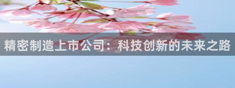 彩神vii购彩l心：精密制造上市公司：科技创新的未来之路