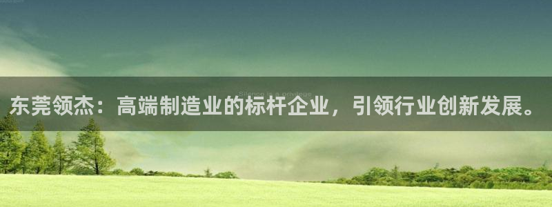 彩神8是正规平台吗是正品吗：东莞领杰：高端制造业的标杆企业，引领行业创新发展。