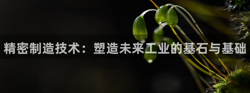 彩神iv真的能赚钱吗：精密制造技术：塑造未来工业的基石与基础