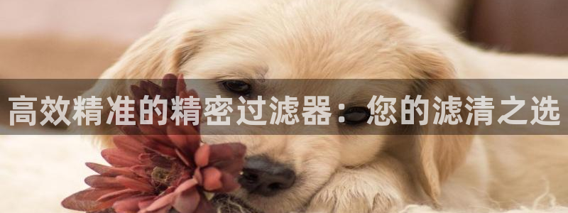 天天赢彩神：高效精准的精密过滤器：您的滤清之选