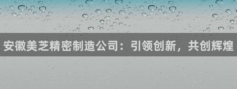 彩神v8下载：安徽美芝精密制造公司：引领创新，共创辉煌