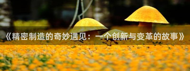 彩神争霸官方下载：《精密制造的奇妙遇见：一个创新与变革的故事》