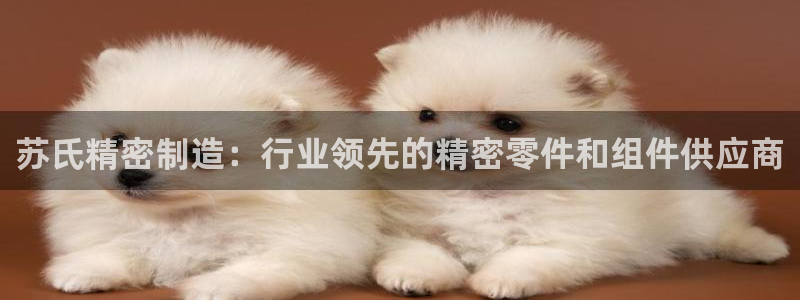 新版彩神v8登录不上去：苏氏精密制造：行业领先的精密零件和组件供应商