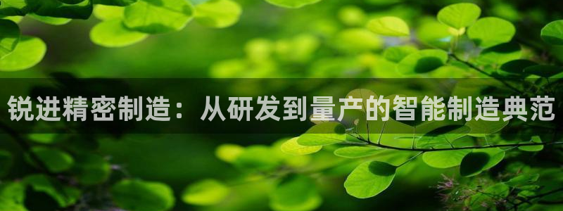 彩神v8下载：锐进精密制造：从研发到量产的智能制造典范