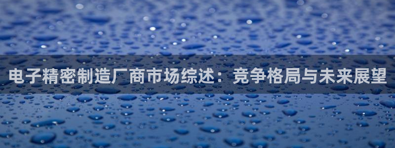 彩神赢了钱登录不上去：电子精密制造厂商市场综述：竞争格局与未来展望