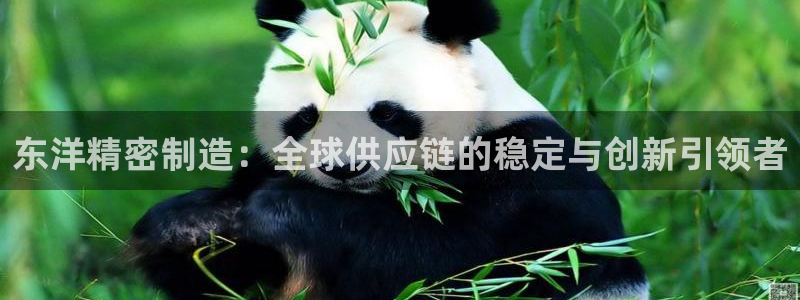 彩神v8有多久了?靠谱吗：东洋精密制造：全球供应链的稳定与创新引领者