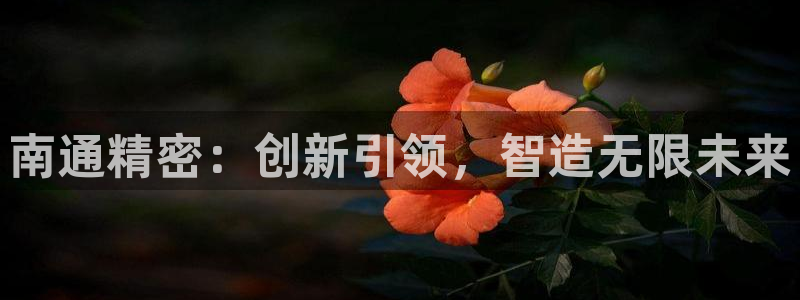 彩神大发黑平台：南通精密：创新引领，智造无限未来