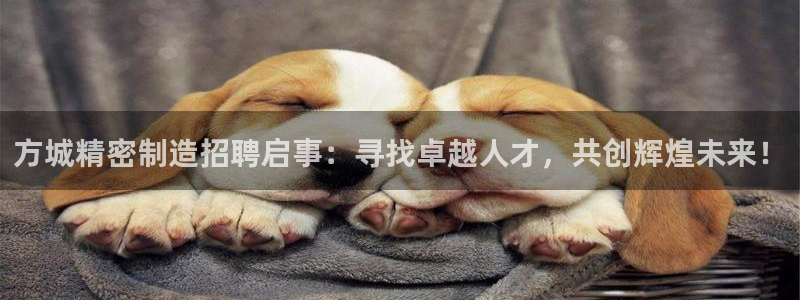 彩神是什么平台的游戏：方城精密制造招聘启事：寻找卓越人才，共创辉煌未来！
