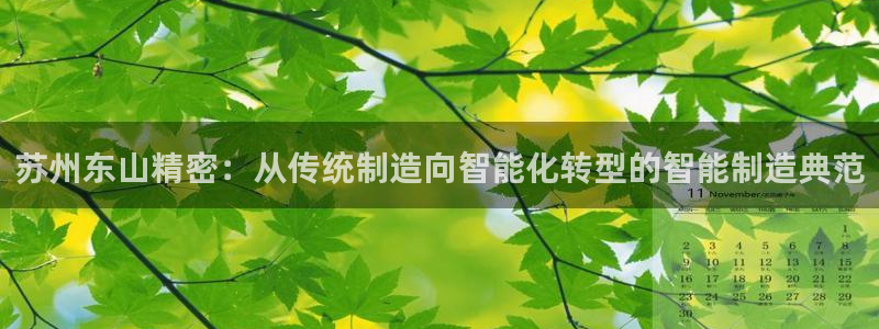 彩神网可以赚钱是真的吗：苏州东山精密：从传统制造向智能化转型的智能制造典范