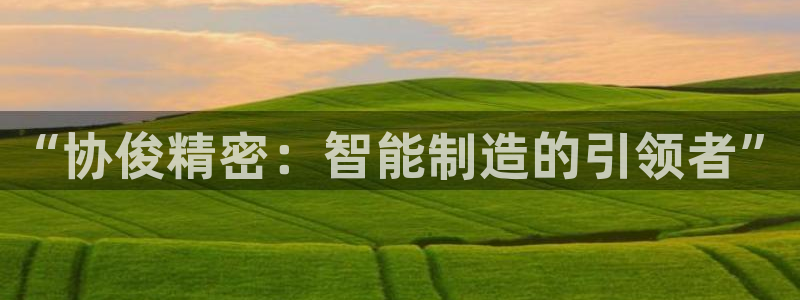 彩神网可以赚钱是真的吗：“协俊精密：智能制造的引领者”