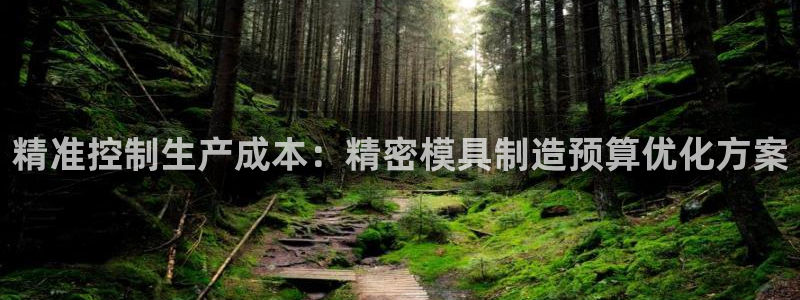 彩神v平台：精准控制生产成本：精密模具制造预算优化方案