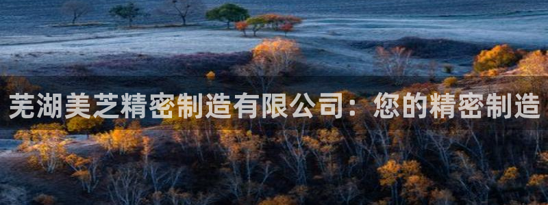 彩神输的钱是赌博还是诈骗：芜湖美芝精密制造有限公司：您的精密制造