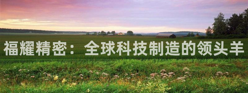 彩神8官网合法吗：福耀精密：全球科技制造的领头羊
