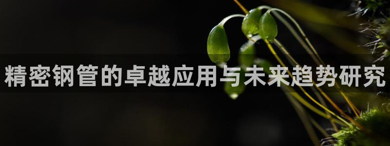 彩神8官网500：精密钢管的卓越应用与未来趋势研究